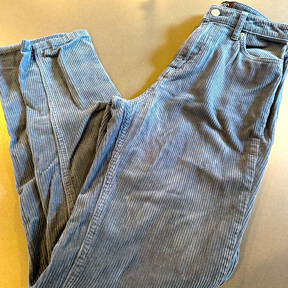 BDG by Urban Outfitters new without tags women’s cords